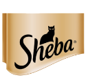 Sheba